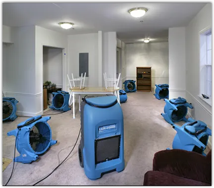 Drying & Dehumidification in Medway, MA