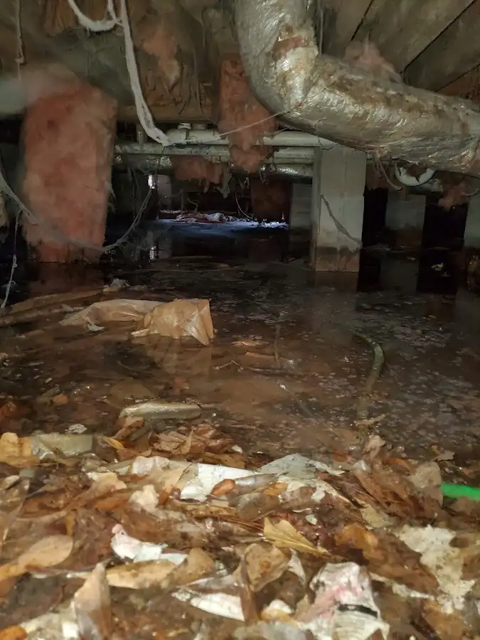 Crawl space flood assessment for Leak Detection & Repair in Medway