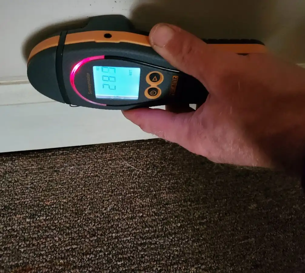Moisture detection at baseboard during Sewage Cleanup & Sanitation in Medway